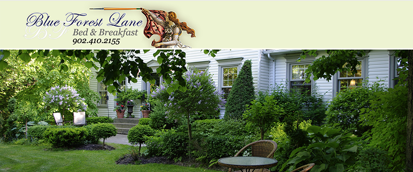 Blue Forest Lane Bed and Breakfast