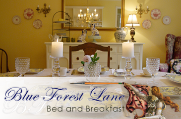 Blue Forest Lane Bed and Breakfast